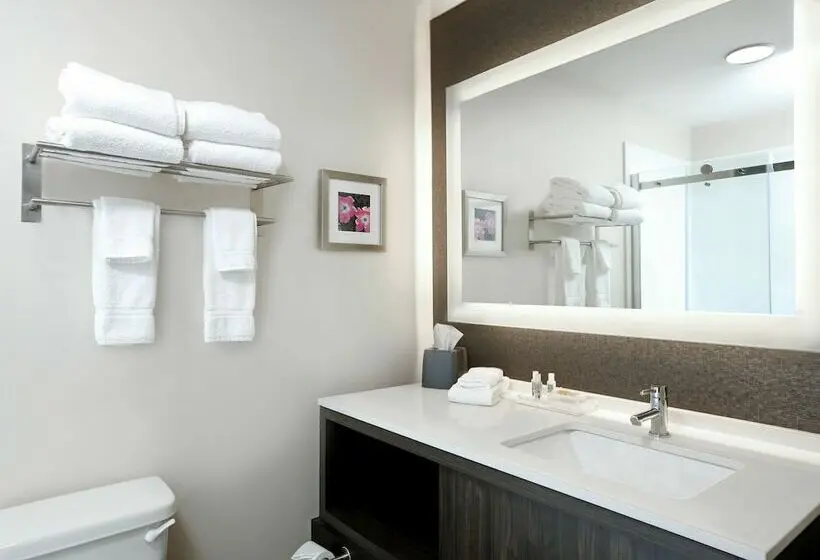 スイート, Holiday Inn & Suites Sioux Falls   Airport, An Ihg
