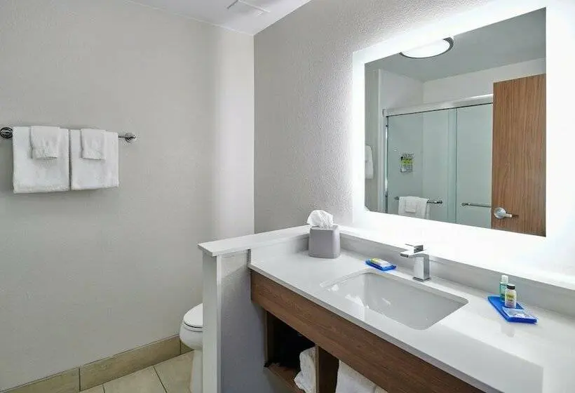 スタンダードルーム, Holiday Inn Express & Suites El Paso East Loop 375, An Ihg