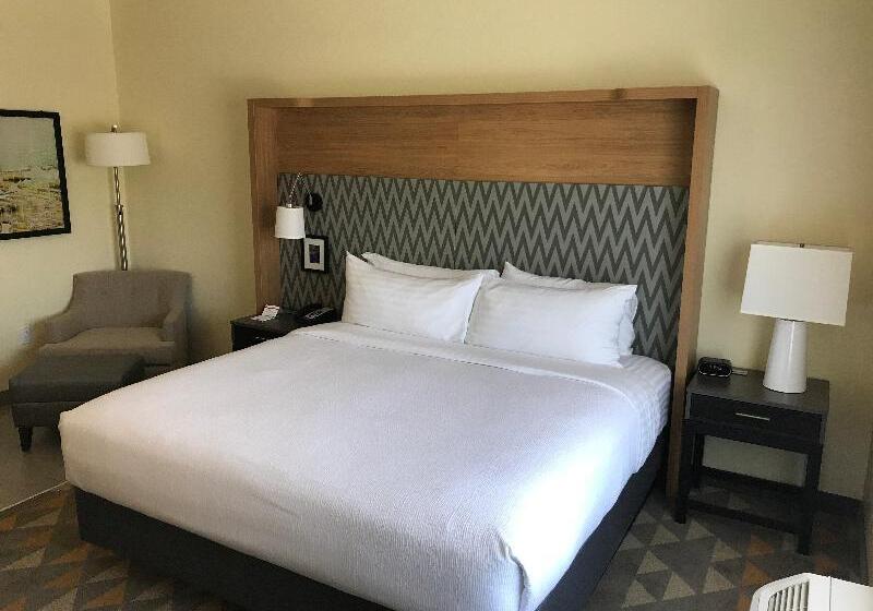 غرفة قياسية سرير كينج, Holiday Inn & Suites Arden   Asheville Airport, An Ihg