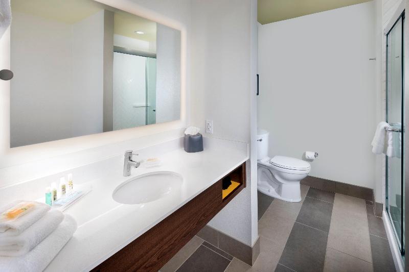 Люкс Кровать Кинг, Holiday Inn & Suites Arden   Asheville Airport, An Ihg