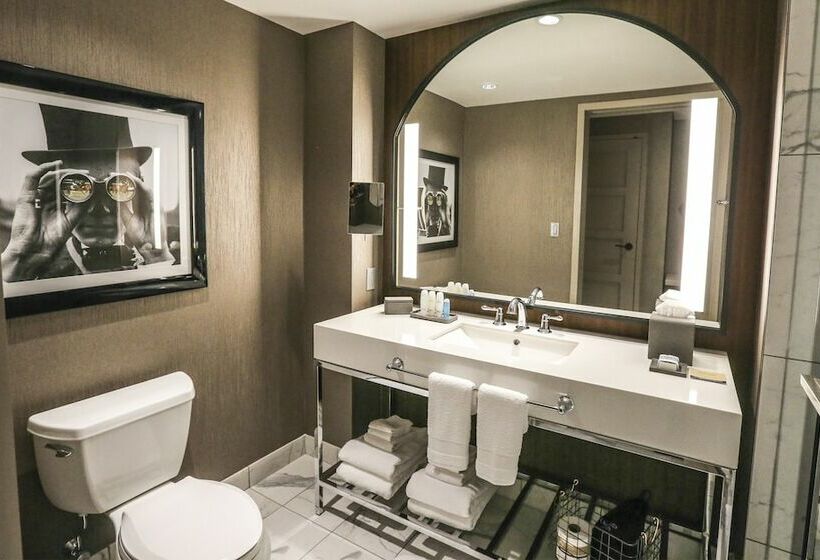 اتاق دلوکس مخصوص معلولین, Omni Louisville