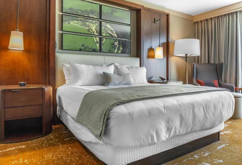 חדר דחוקס עם מיטת קינג, Omni Louisville