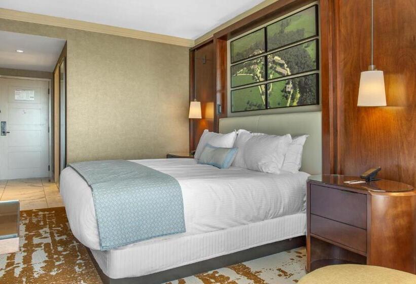 חדר דחוקס עם מיטת קינג, Omni Louisville