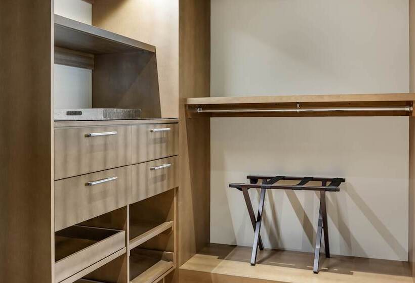 חדר דלוקס מותאם לאנשים עם מוגבלויות, Omni Louisville