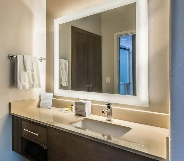 Sviitti, Staybridge Suites Lake Jackson, An Ihg