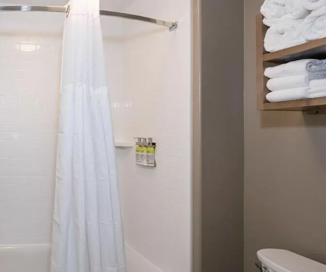 Sviitti, Staybridge Suites Lake Jackson, An Ihg