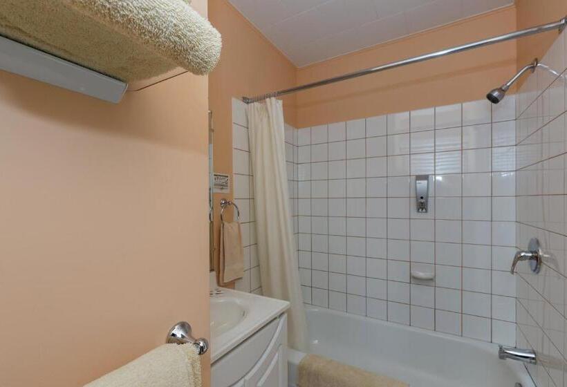 غرفه قياسيه سريرين مزدوجين, Motel Au Fleuve D'argent