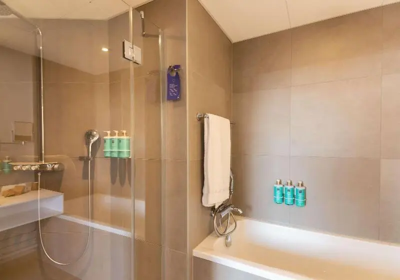 سوییت اجرایی, Novotel Suites Colmar Centre