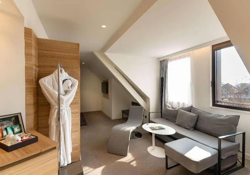 سوییت اجرایی, Novotel Suites Colmar Centre