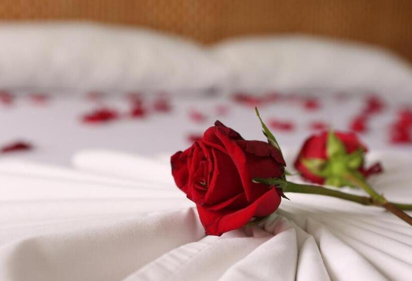 חדר סטנדרט, Anamichu Suites