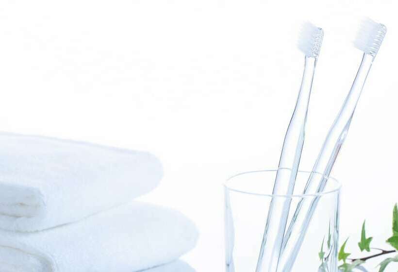 スタンダードルーム, Comfort Hotel Sapporo Susukino