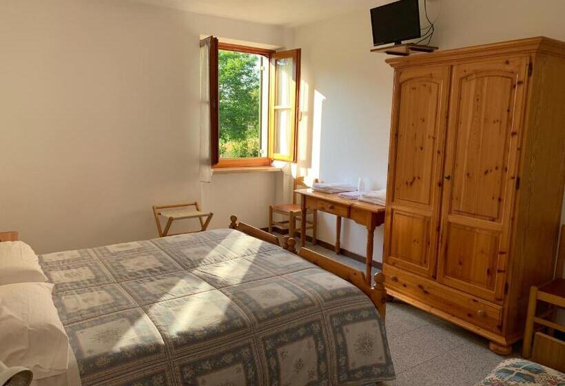 スタンダード４人部屋, Edelweiss