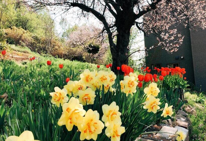 וילה בת חדר שינה 1, Otarunishikien