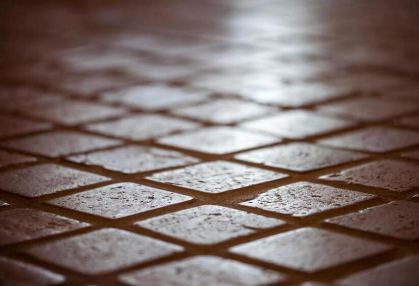 דירת חדר סופריור, Nomadic Urban Premium Suites