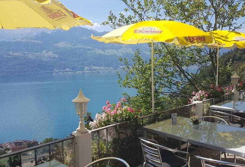 آپارتمان 1 خوابه, Gasthaus Platten