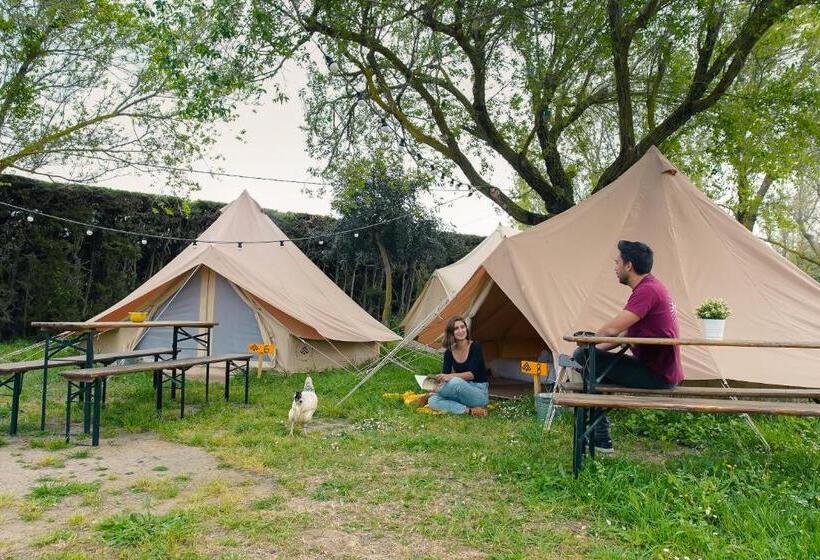 چادر با خدمات رفاهی استاندارد, Kampaoh El Palmar