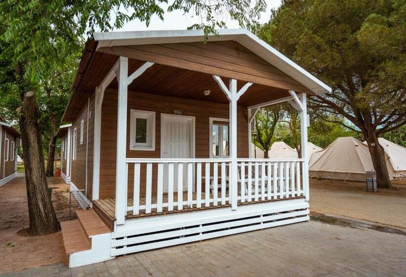 بانگلوی استاندارد, Kampaoh El Palmar