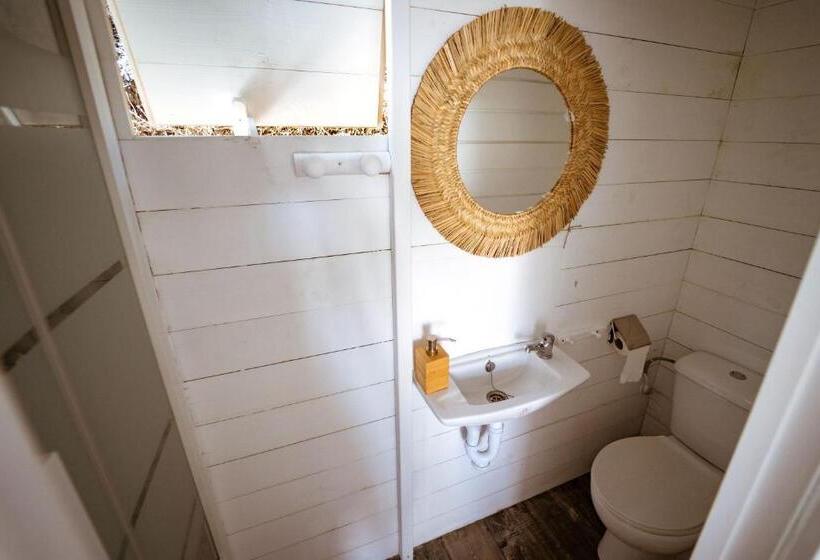 اتاق استاندارد, Kampaoh El Palmar