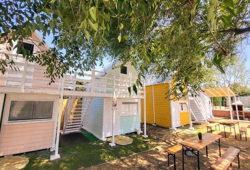 اتاق استاندارد, Kampaoh El Palmar