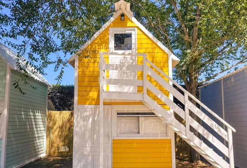 اتاق استاندارد, Kampaoh El Palmar