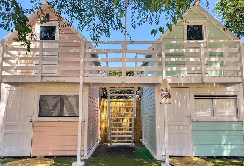 اتاق استاندارد, Kampaoh El Palmar