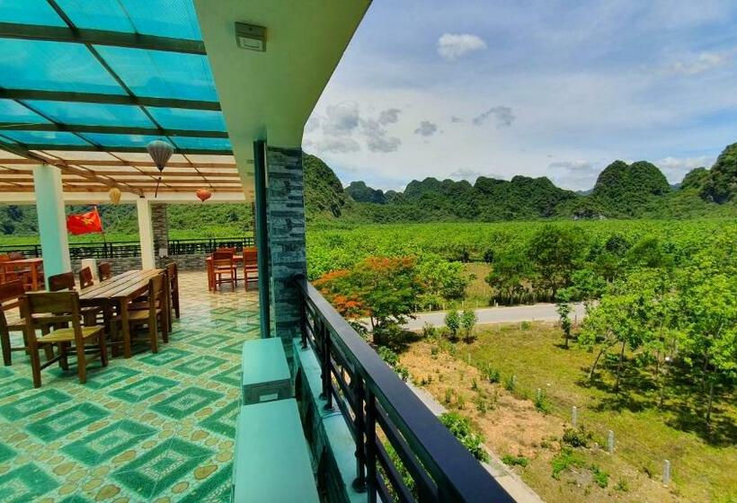 تختخواب در اتاق مشترک, Phong Nha Amanda Homestay