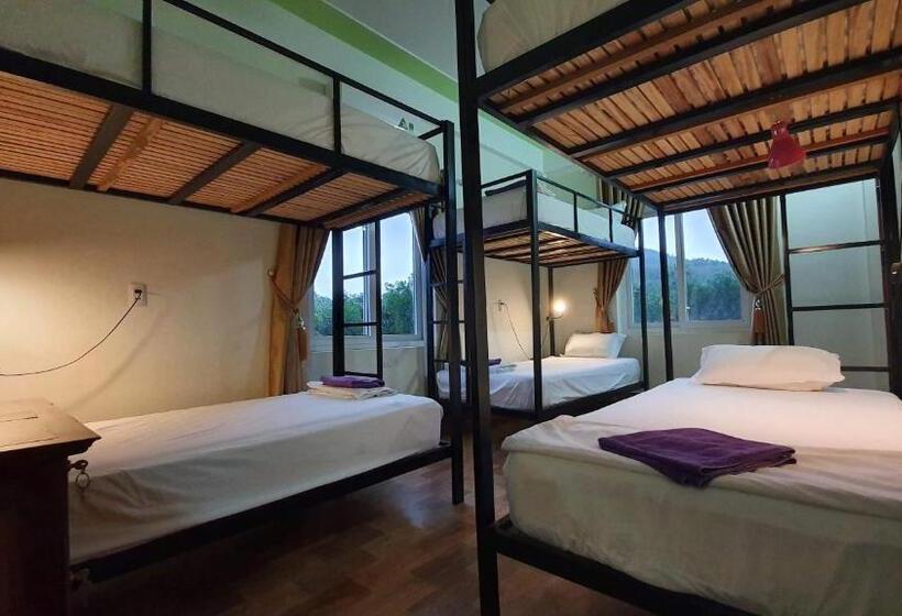 تختخواب در اتاق مشترک, Phong Nha Amanda Homestay