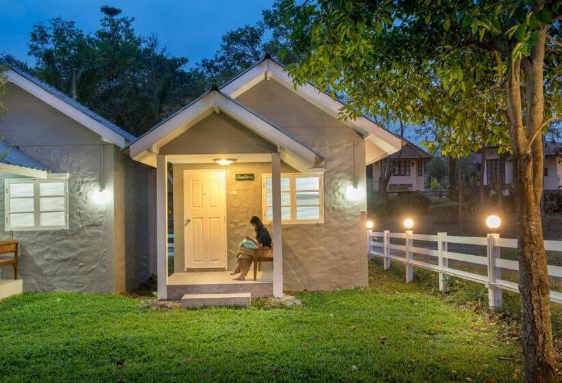 小室, Ivy Cottage By Qiu