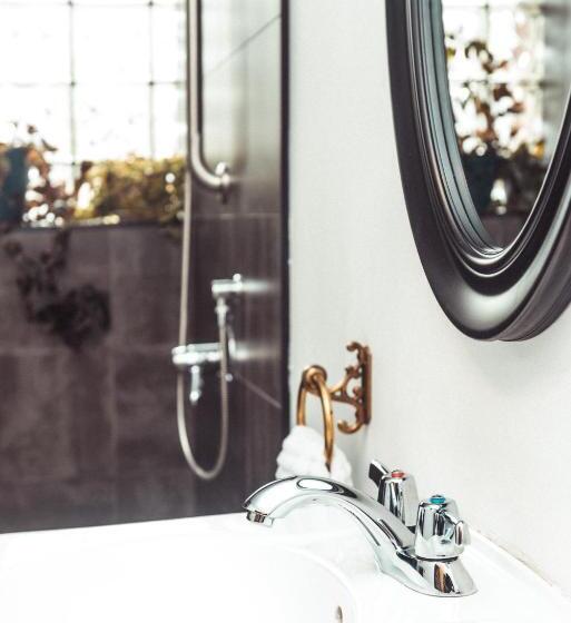 إستوديو قياسى, The Haven Hostel