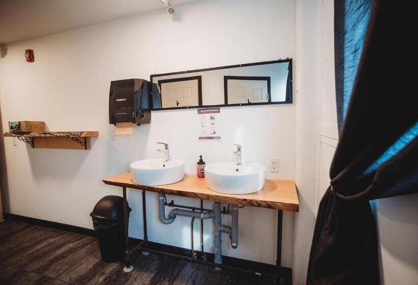 سرير فى غرفة مشتركه, The Haven Hostel