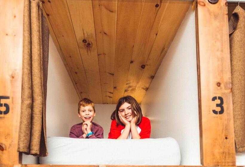 سرير فى غرفة مشتركه, The Haven Hostel