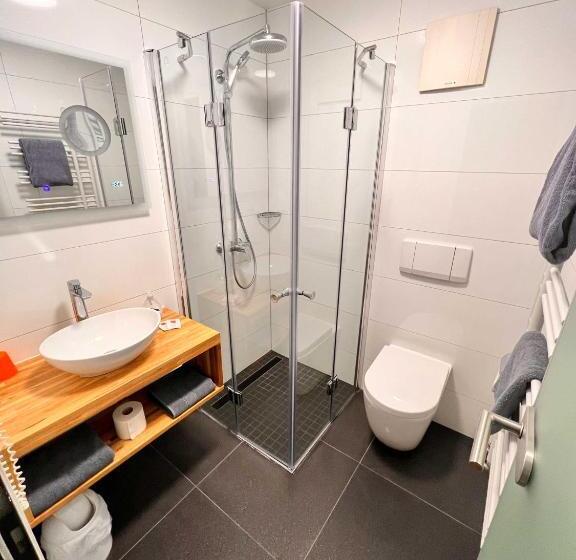 适合残疾人使用的标准间, Hil Hotel Im Lus Schopfheim