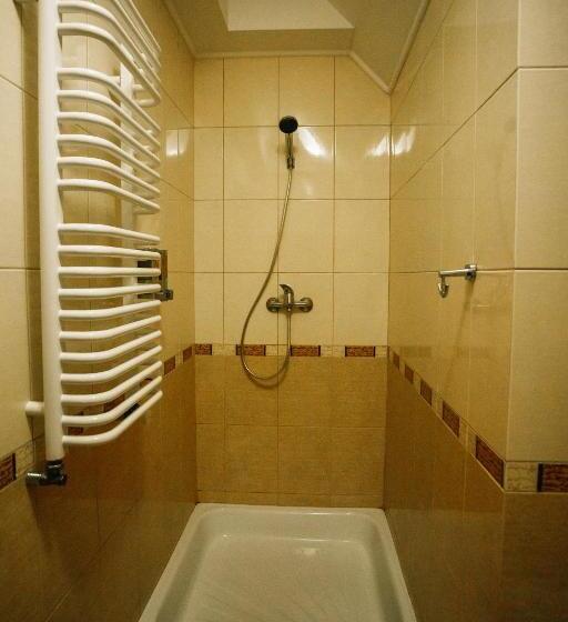 اتاق استاندارد, Shovkova Kositsya