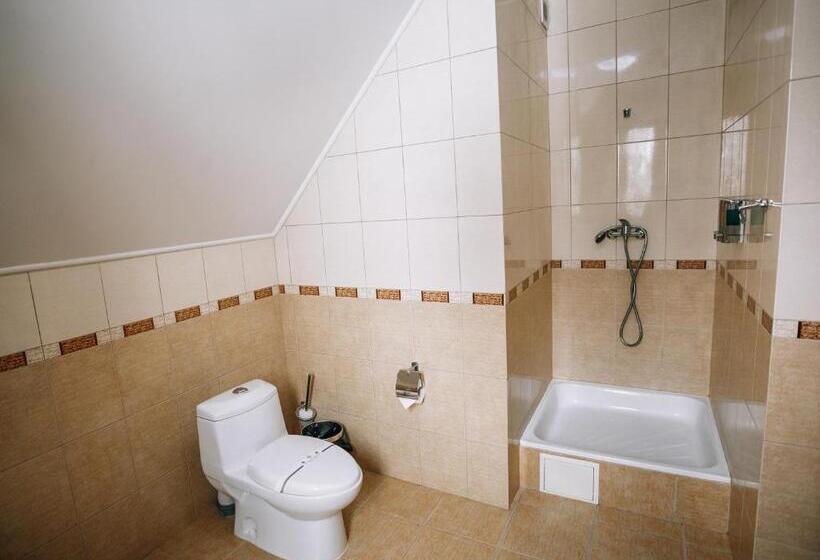 اتاق لوکس, Shovkova Kositsya