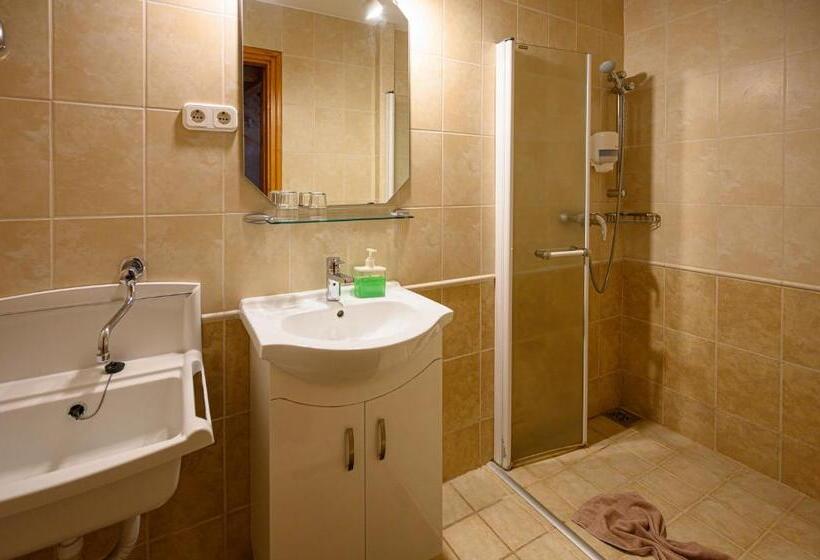 テラス付き１ベッドルームアパートメント, Nádasdi Ház