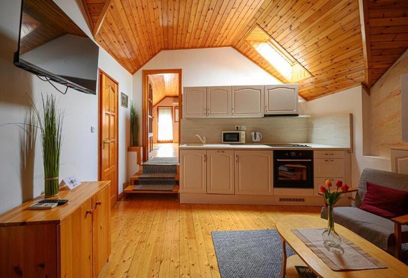 テラス付き１ベッドルームアパートメント, Nádasdi Ház