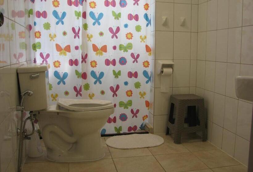 バスルーム共有のトリプルスタンダード, Portal Austral