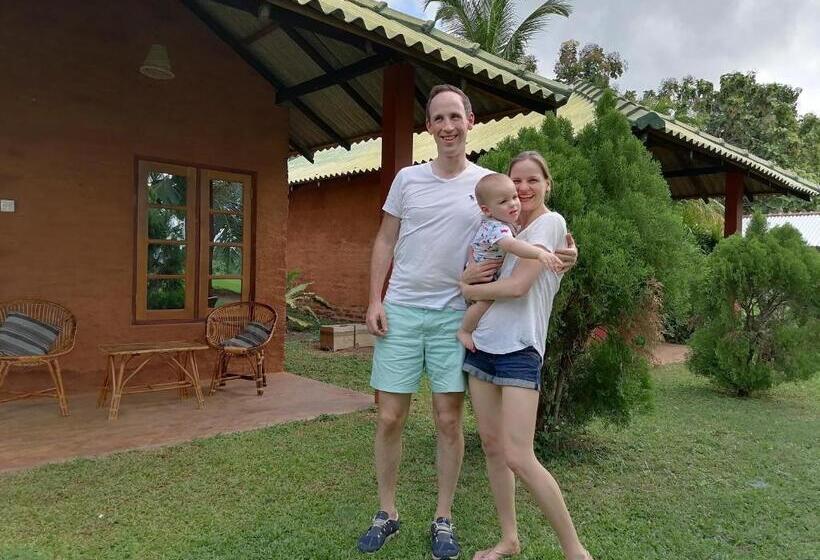 디럭스 룸, Wild Breeze