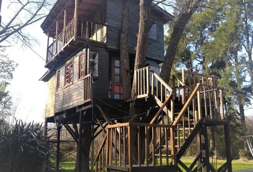 デラックスルーム, Coembota Cabañas