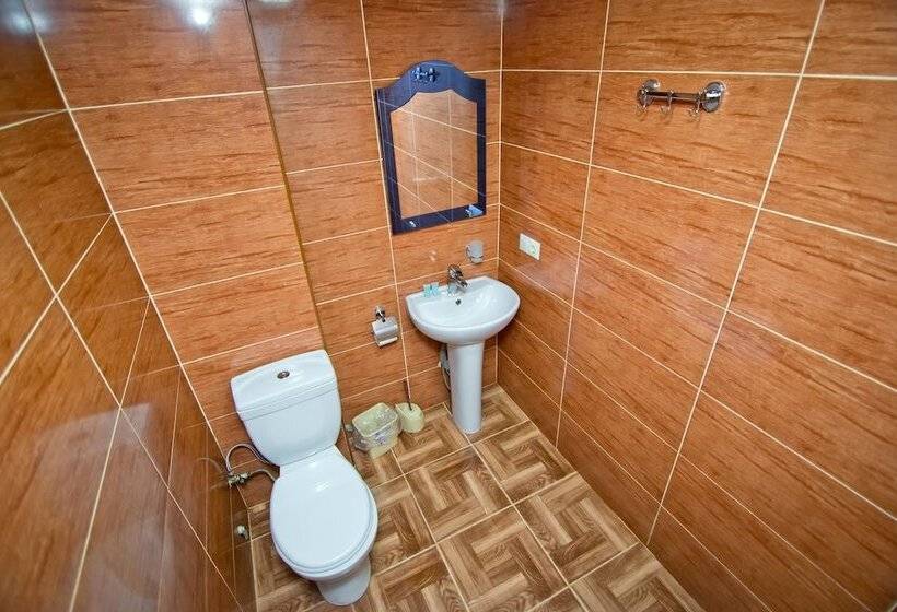 اتاق استاندارد با تخت دوبل, Vizit