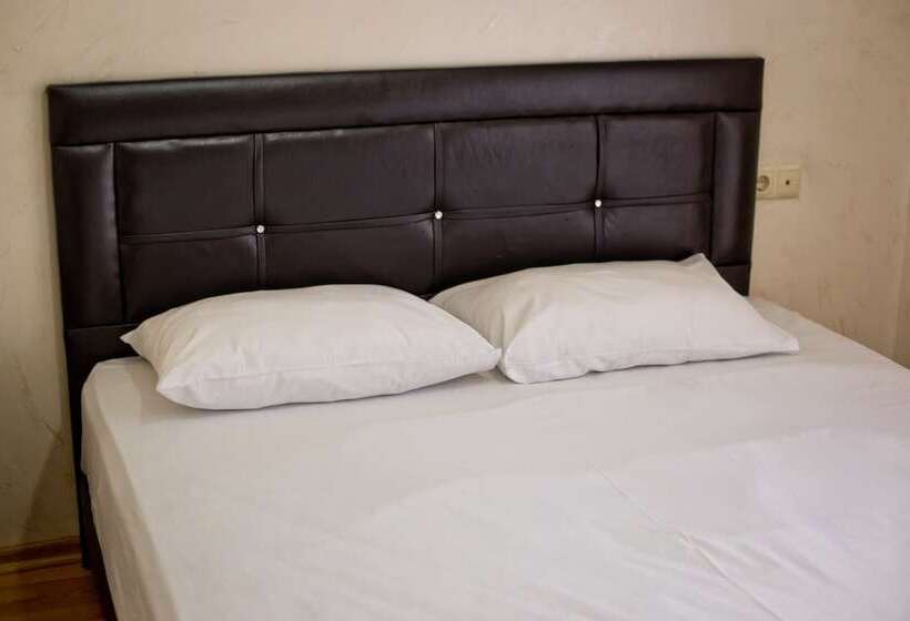 اتاق استاندارد با تخت دوبل, Vizit