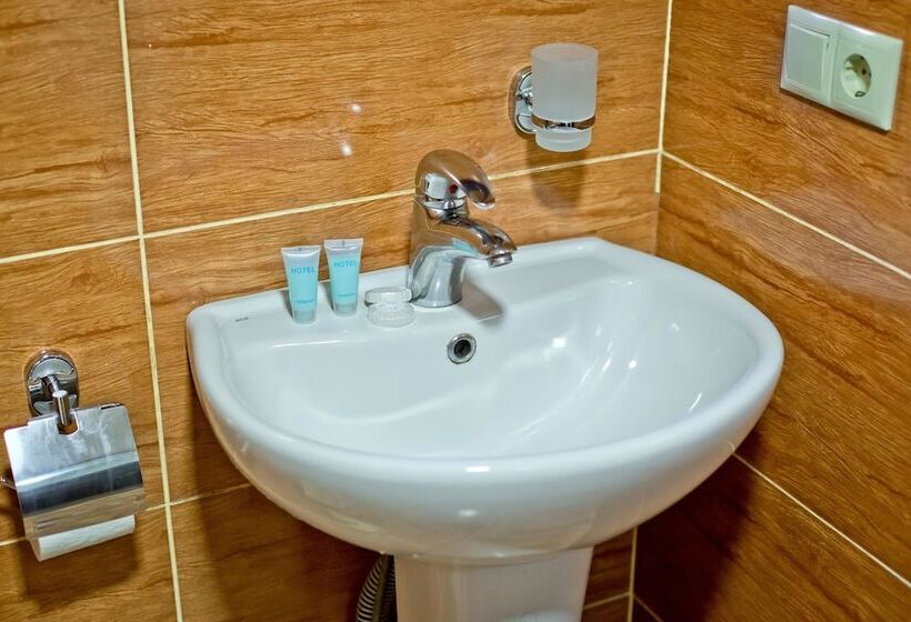 اتاق استاندارد با تخت دوبل, Vizit