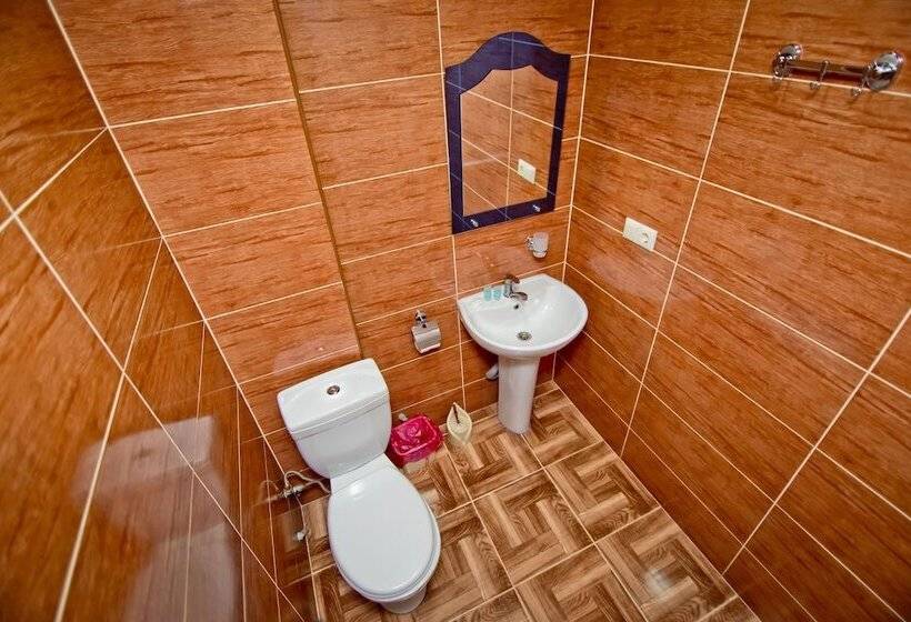 اتاق استاندارد با تخت دوبل, Vizit