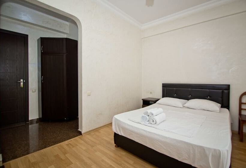 اتاق استاندارد با تخت دوبل, Vizit