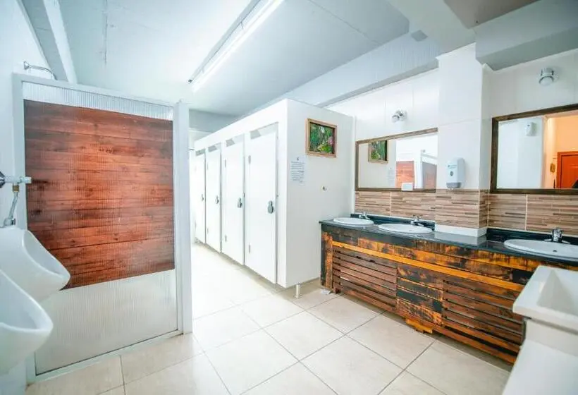 اتاق استاندارد با سرویس بهداشتی مشترک, Oshovia Hostel