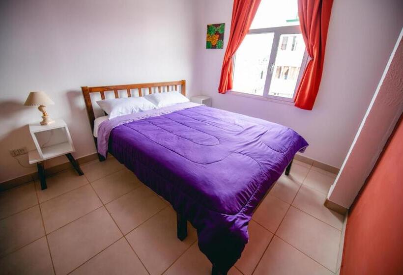 חדר סטנדרט חדר אמבטיה משותף, Oshovia Hostel