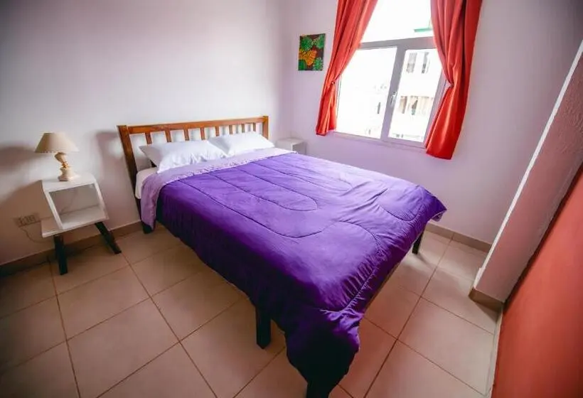 اتاق استاندارد با سرویس بهداشتی مشترک, Oshovia Hostel