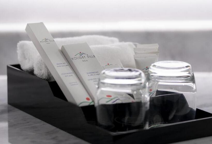 스탠다드 룸 킹사이즈 침대, Holiday Villa Hail