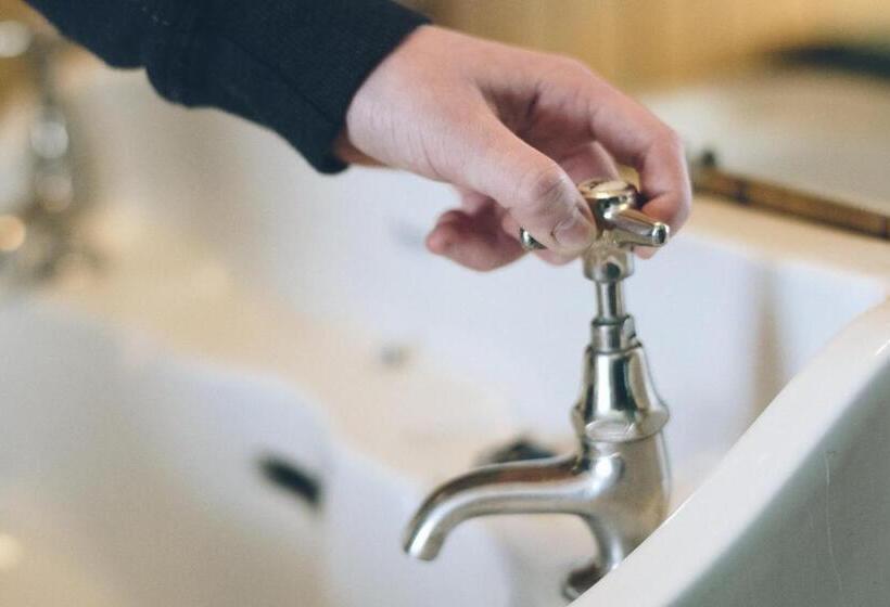 스탠다드 룸 호수 전망, Bygdin Høyfjellshotell