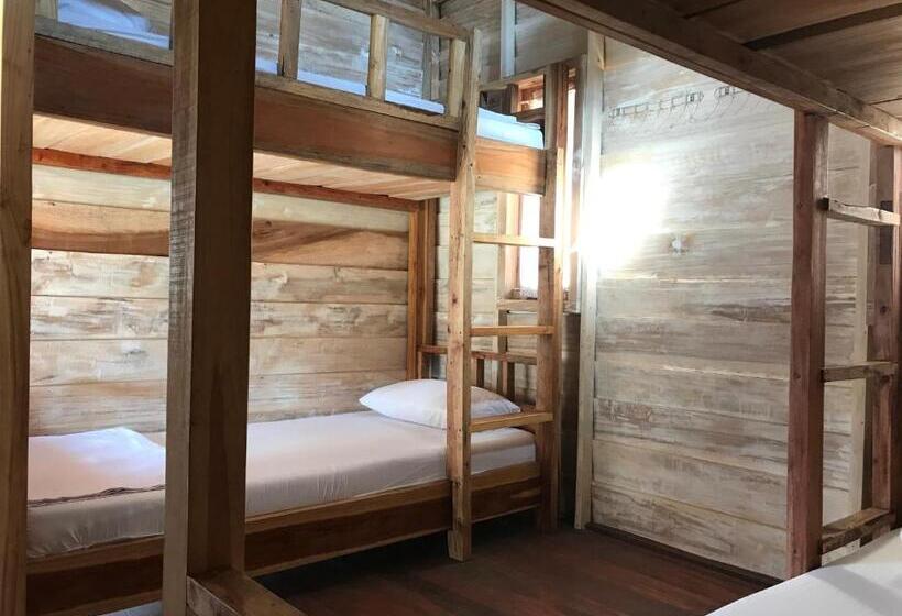 浴室共有スタンダード４人用ルーム, Beranda Ecolodge